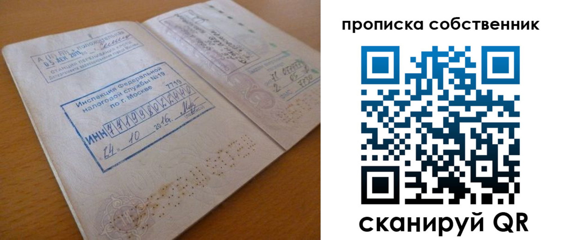 прописка для школы в Михайловке